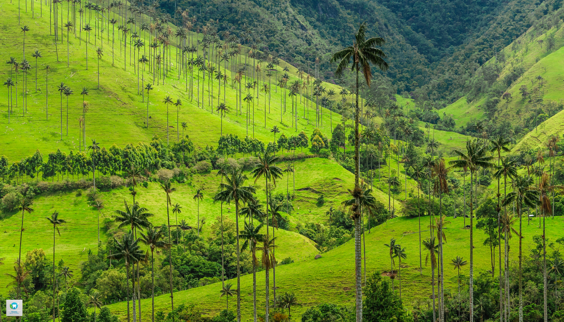 Colombia for Dental Tourism